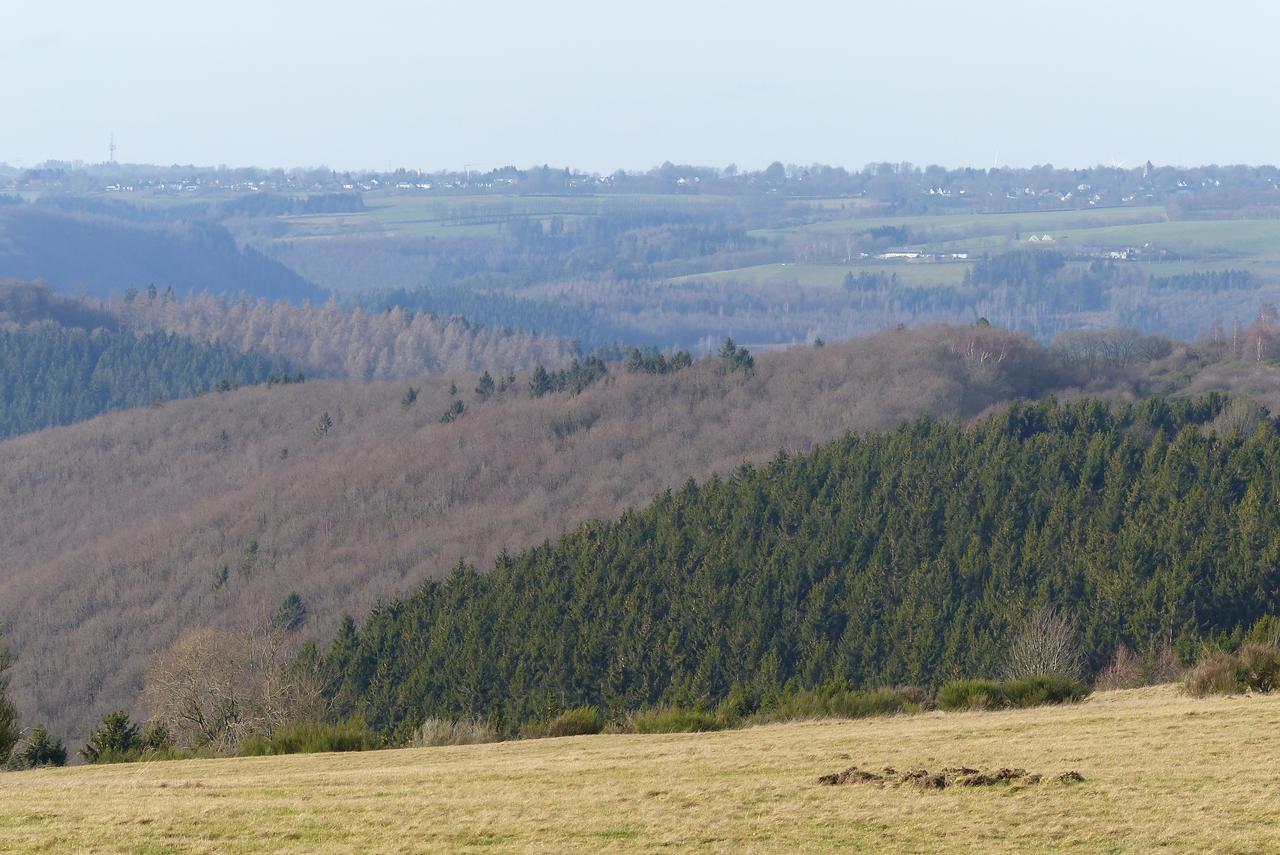 Chalets Am National Park Eifel Schleiden Bagian luar foto